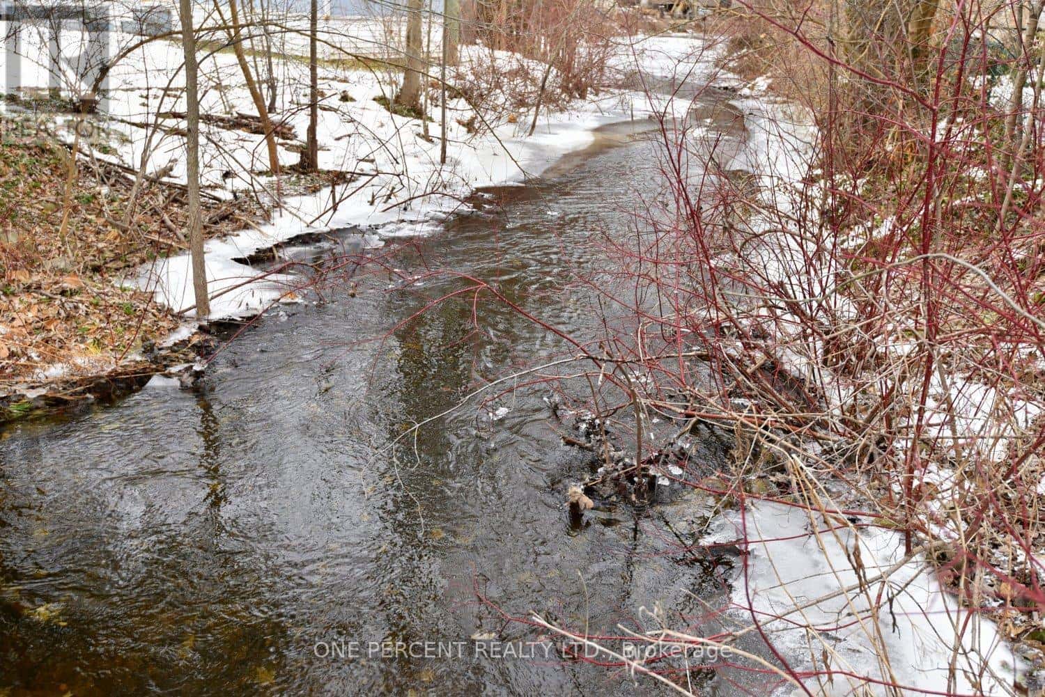 1 - 57 12TH CONCESSION ROAD E — Hamilton, Ontario - Photo 4 of 38