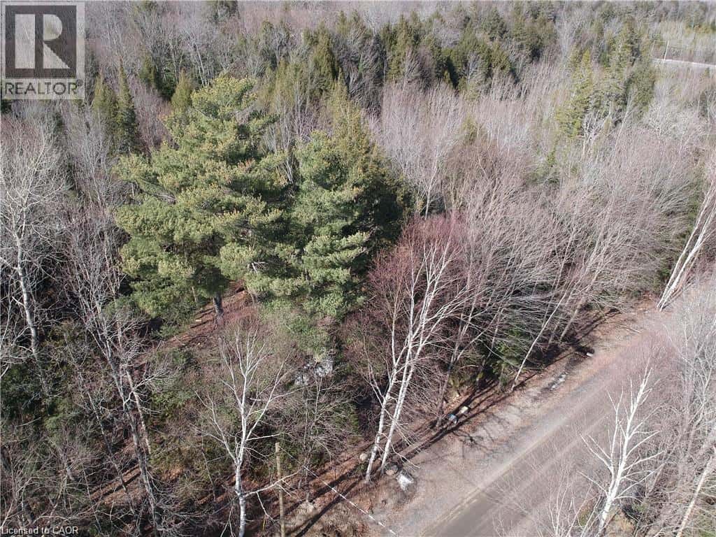 50 CONCESSION 2 AND 3 Road W — Huntsville, Ontario - Photo 2 of 15