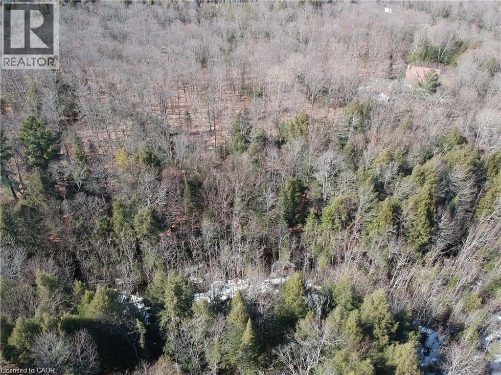 50 CONCESSION 2 AND 3 Road W — Huntsville, Ontario - Photo 3 of 15