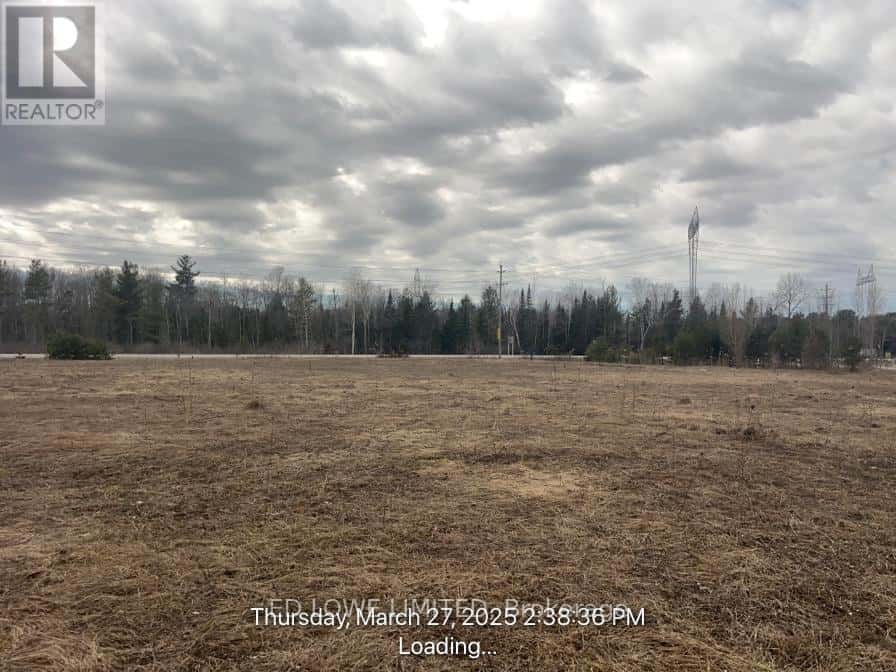 2305 CASSELL DRIVE — Springwater (Hillsdale), Ontario - Photo 4 of 9