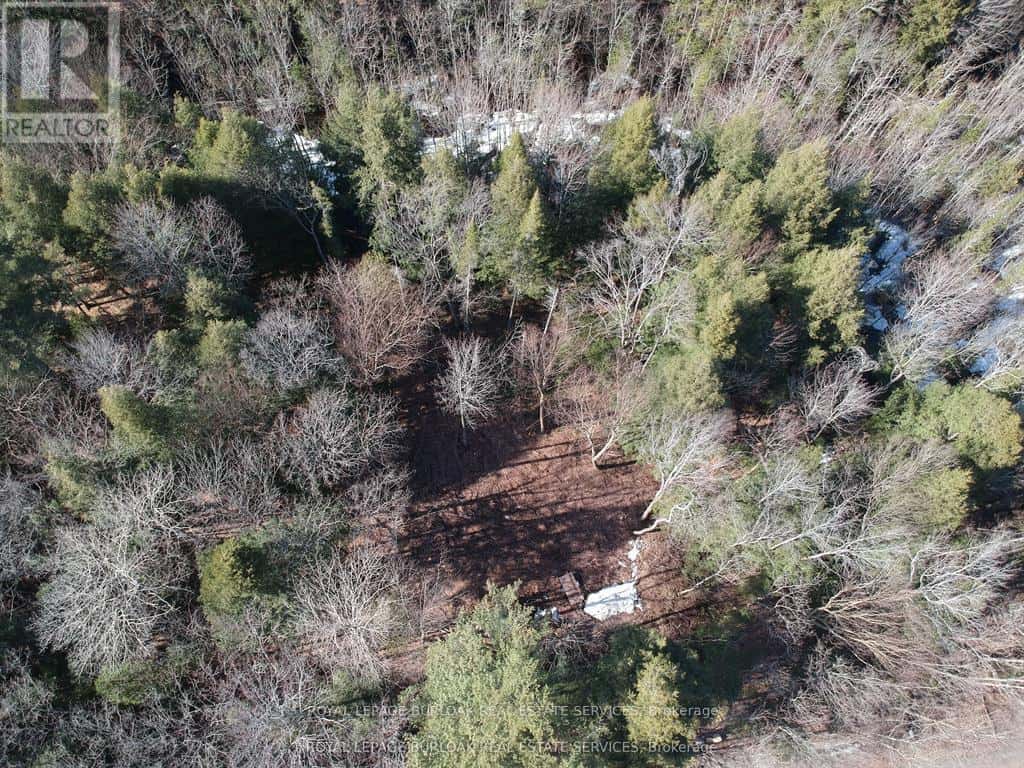 50 CONCESSION 2 AND 3 ROAD W — Huntsville (Brunel), Ontario - Photo 4 of 15