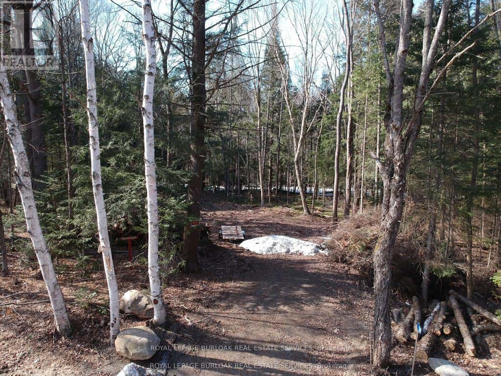 50 CONCESSION 2 AND 3 ROAD W — Huntsville (Brunel), Ontario - Photo 5 of 15