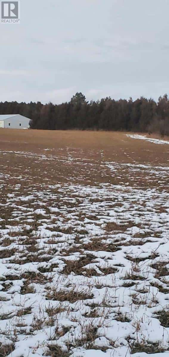 0 COLE ROAD — Clarington, Ontario - Photo 4 of 9