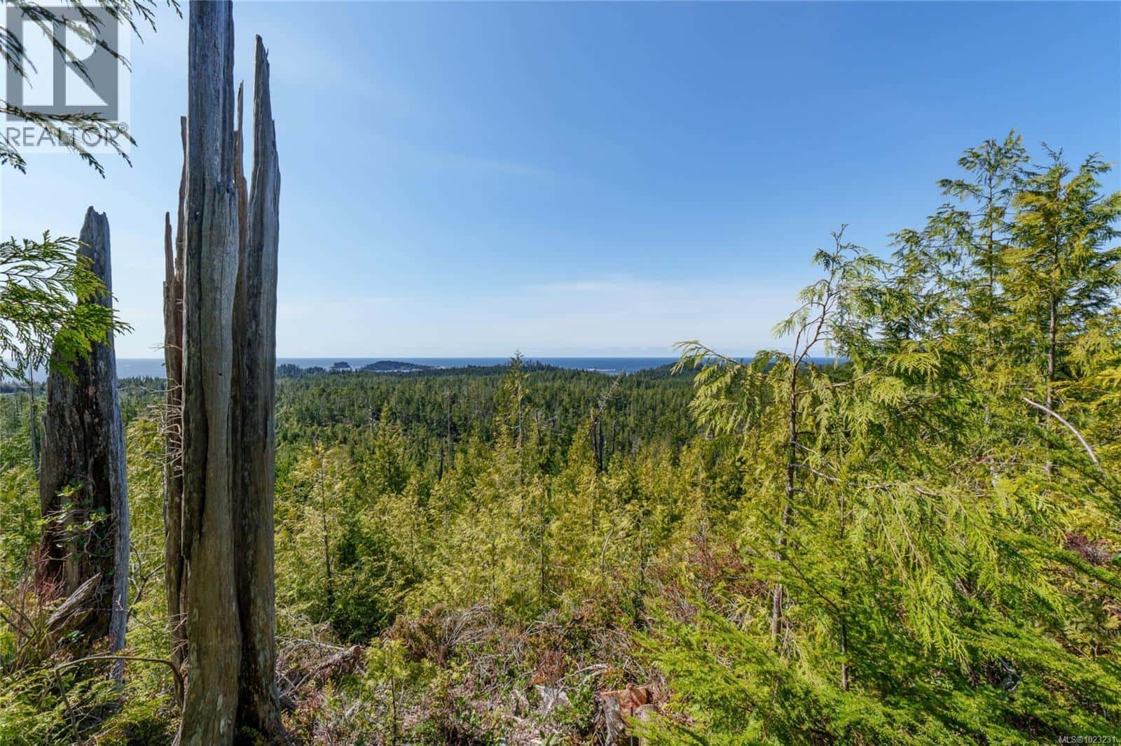 Lot 13 Uplands Way — Ucluelet, British Columbia - Photo 3 of 22