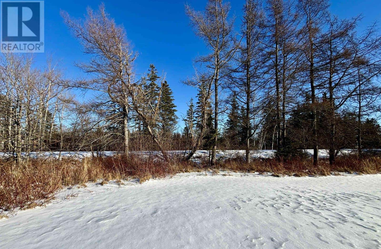 32 Mill Road — Wellington, Prince Edward Island - Photo 4 of 13