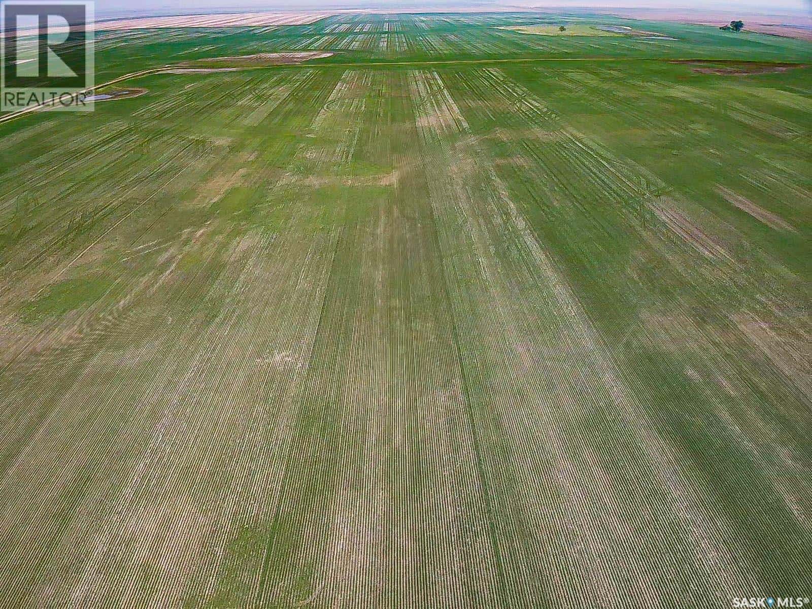 25 Quarter Sections - Rm Souris Valley — Souris Valley Rm No. 7, Saskatchewan - Photo 4 of 23