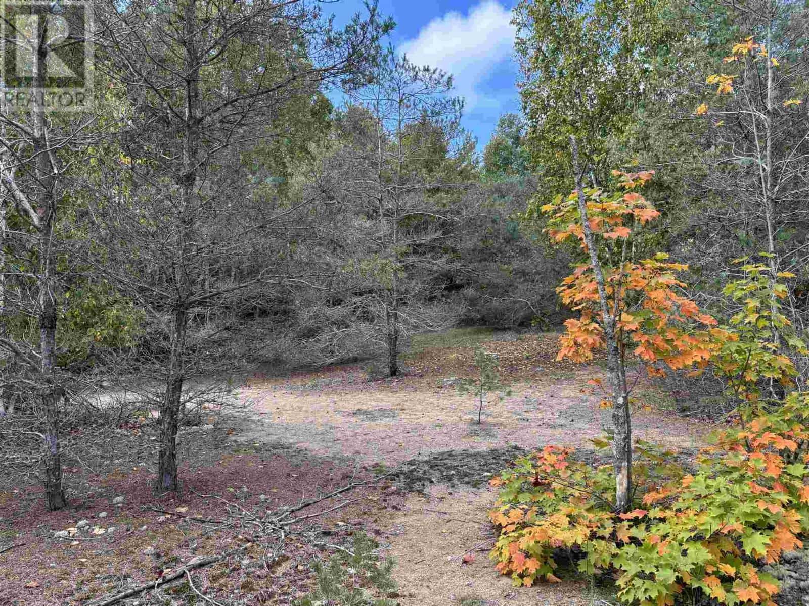 . PCL 1472 HILTON — St. Joseph Island, Ontario - Photo 3 of 7