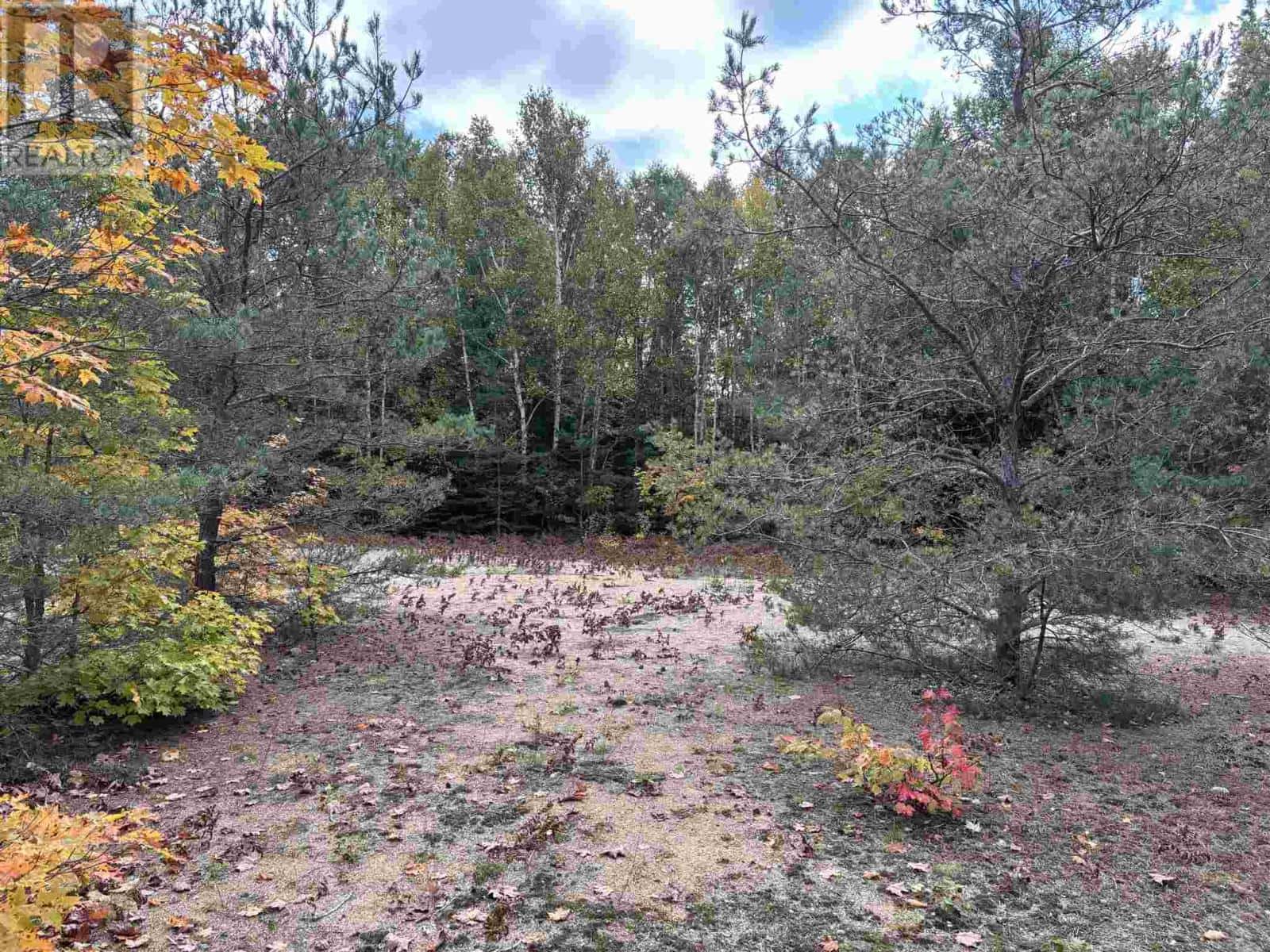 . PCL 1472 HILTON — St. Joseph Island, Ontario - Photo 4 of 7