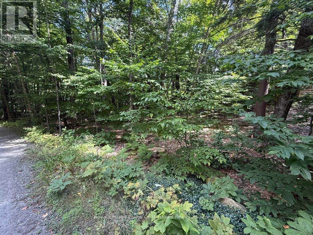 LOT 85 BRENNAN CIRCLE — Huntsville (Stisted), Ontario - Photo 2 of 21