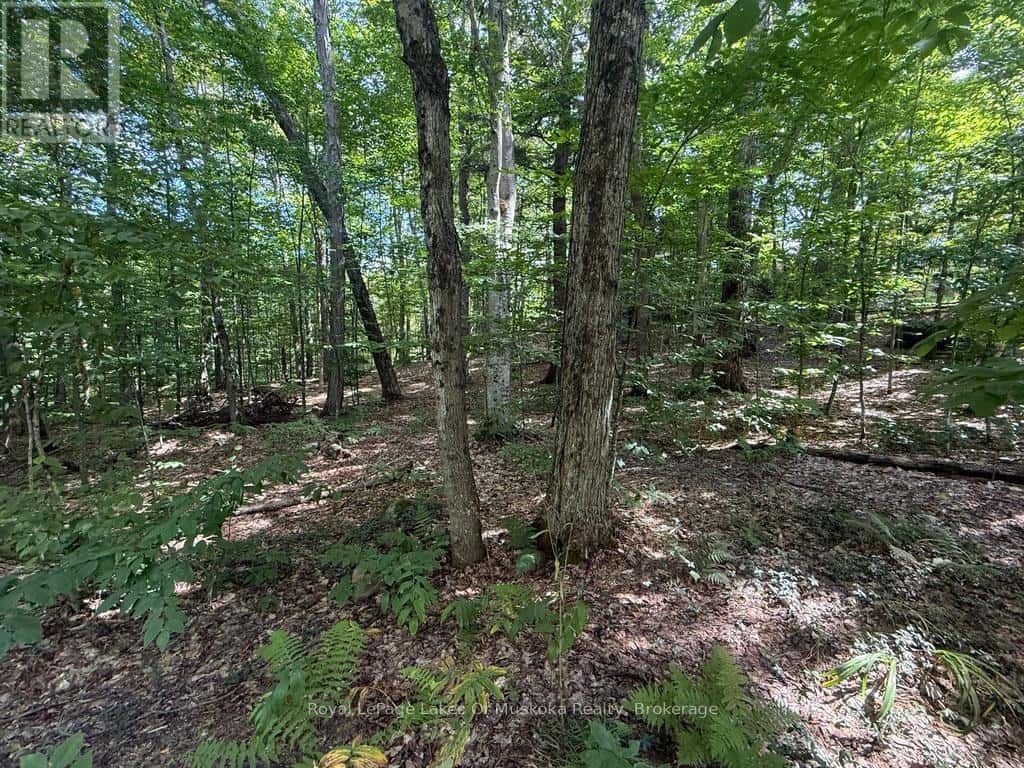 LOT 85 BRENNAN CIRCLE — Huntsville (Stisted), Ontario - Photo 3 of 21