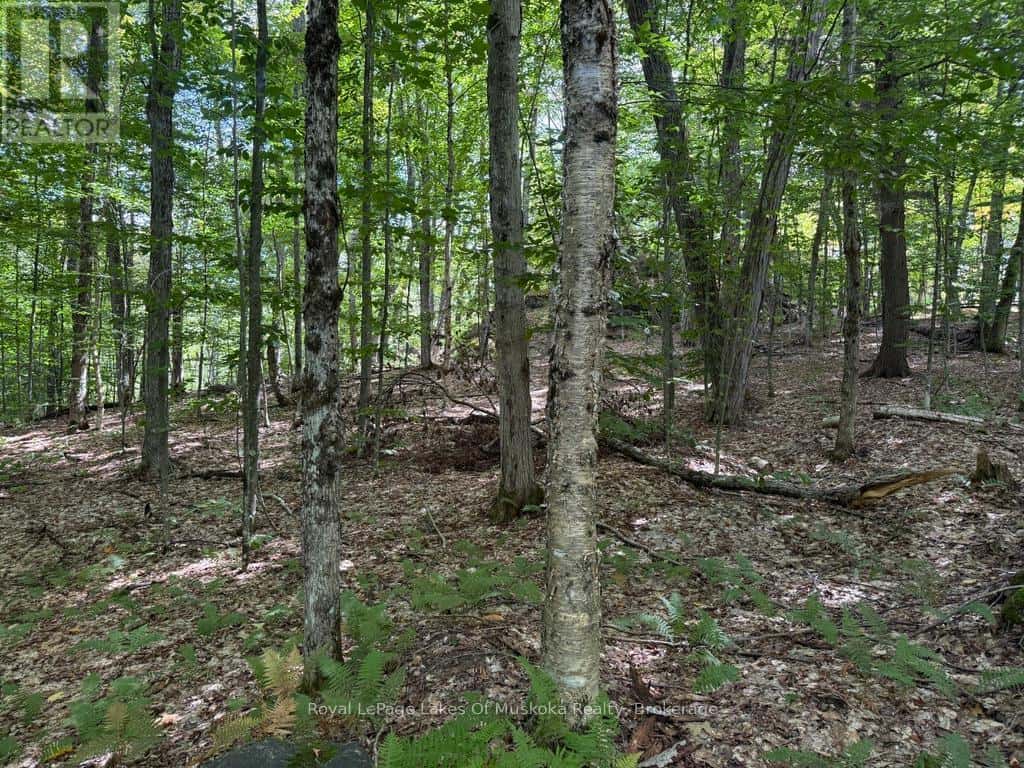 LOT 85 BRENNAN CIRCLE — Huntsville (Stisted), Ontario - Photo 4 of 21