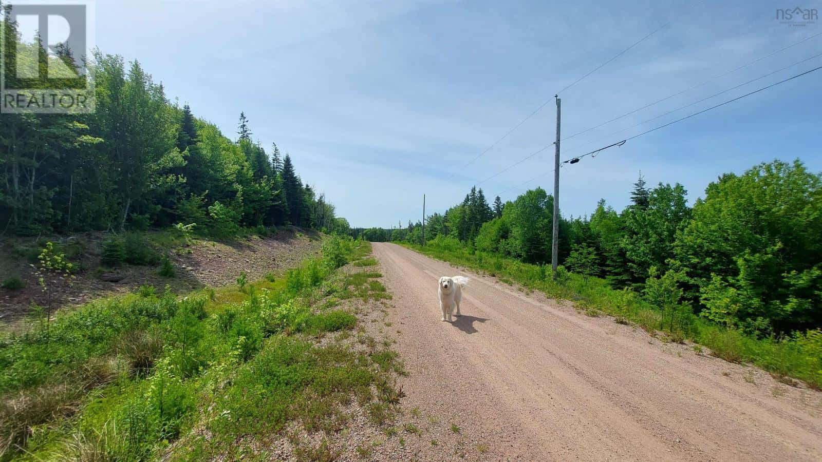 Lot 22 Highway 4 — Kempt Road, Nova Scotia - Photo 3 of 27