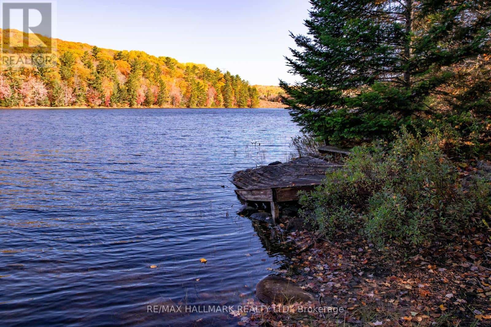 3517 HALIBURTON LAKE ROAD — Dysart et al (Guilford), Ontario - Photo 4 of 30