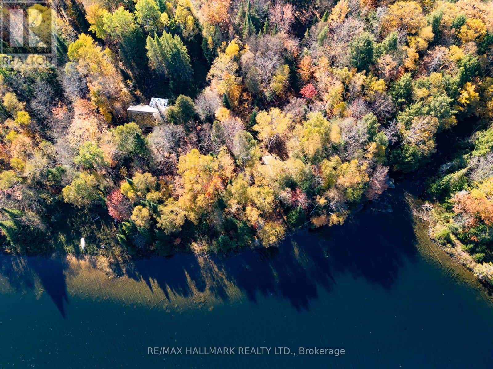 3517 HALIBURTON LAKE ROAD — Dysart et al (Guilford), Ontario - Photo 5 of 30