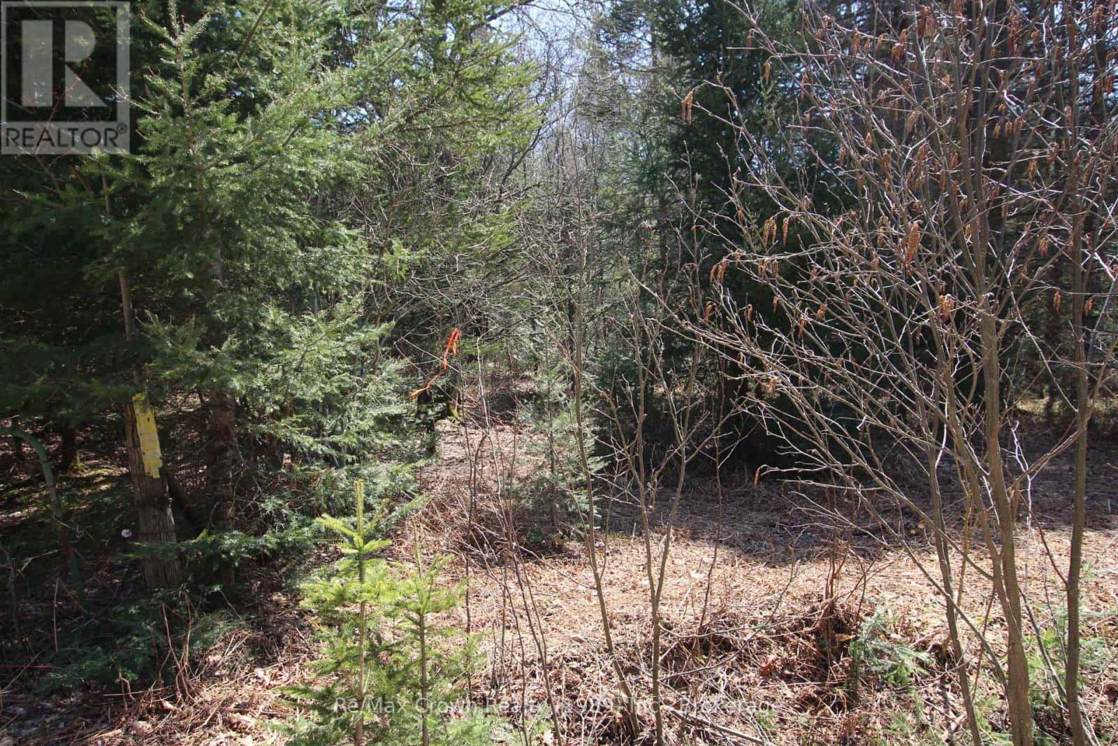 0 BARRETT ROAD — Nipissing, Ontario - Photo 2 of 9