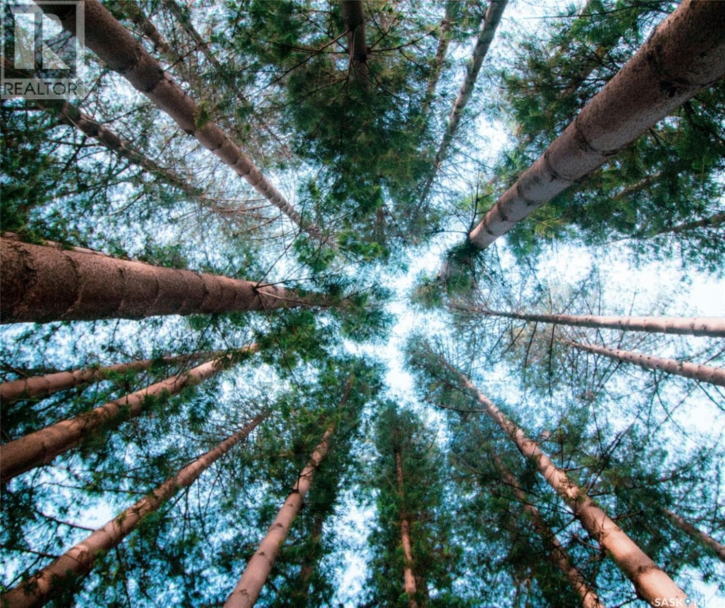 Lot 3 Block 4 South Shore Lane — Meeting Lake, Saskatchewan - Main photo