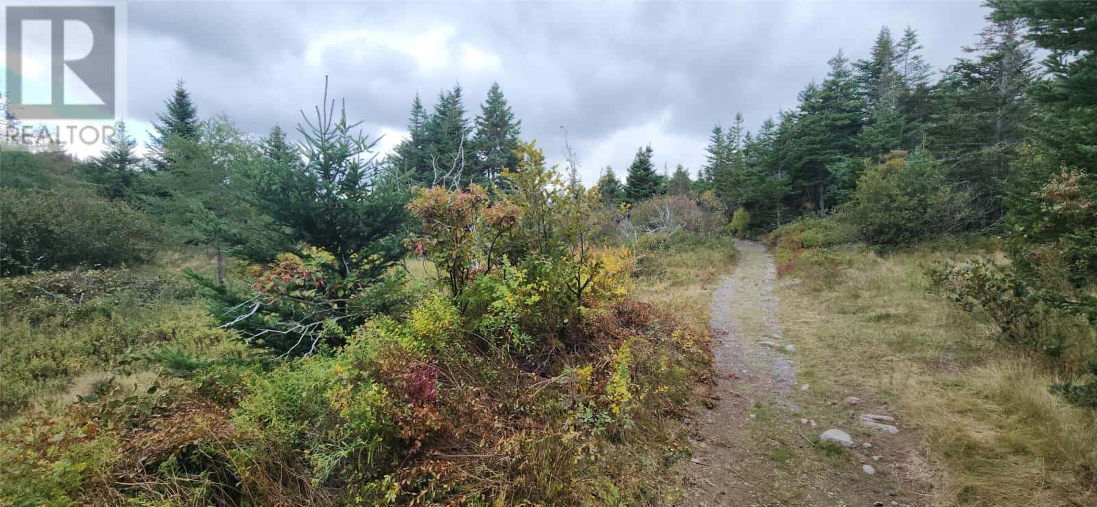 101-121 Holdens Road — Harbour Main, Newfoundland & Labrador - Photo 2 of 4