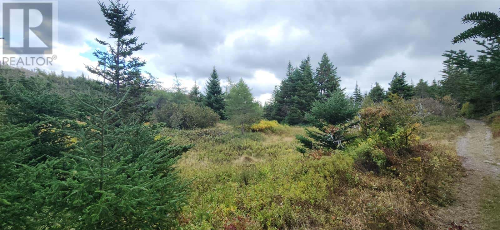 101-121 Holdens Road — Harbour Main, Newfoundland & Labrador - Photo 3 of 4