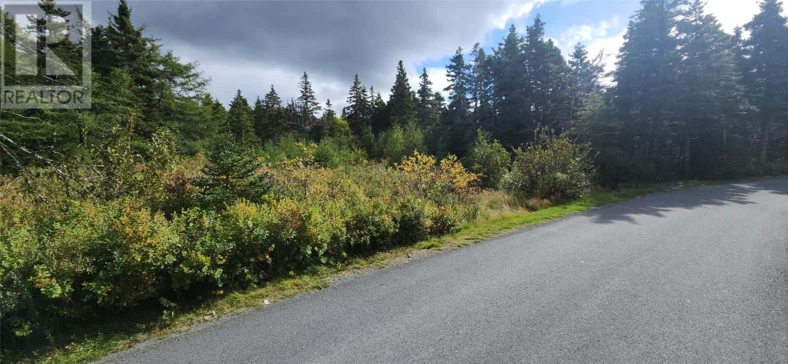 11 Barrys Island Road N — Avondale, Newfoundland & Labrador - Photo 2 of 4