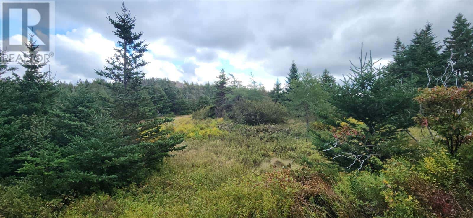 11 Barrys Island Road N — Avondale, Newfoundland & Labrador - Photo 3 of 4