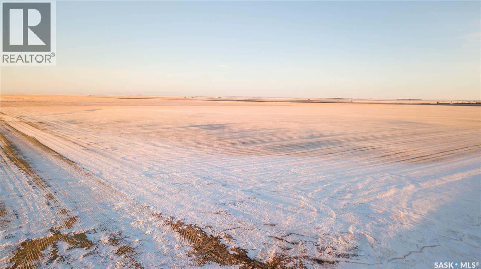 2 Quarters Grainland Near Eston (D & T Loppacher)