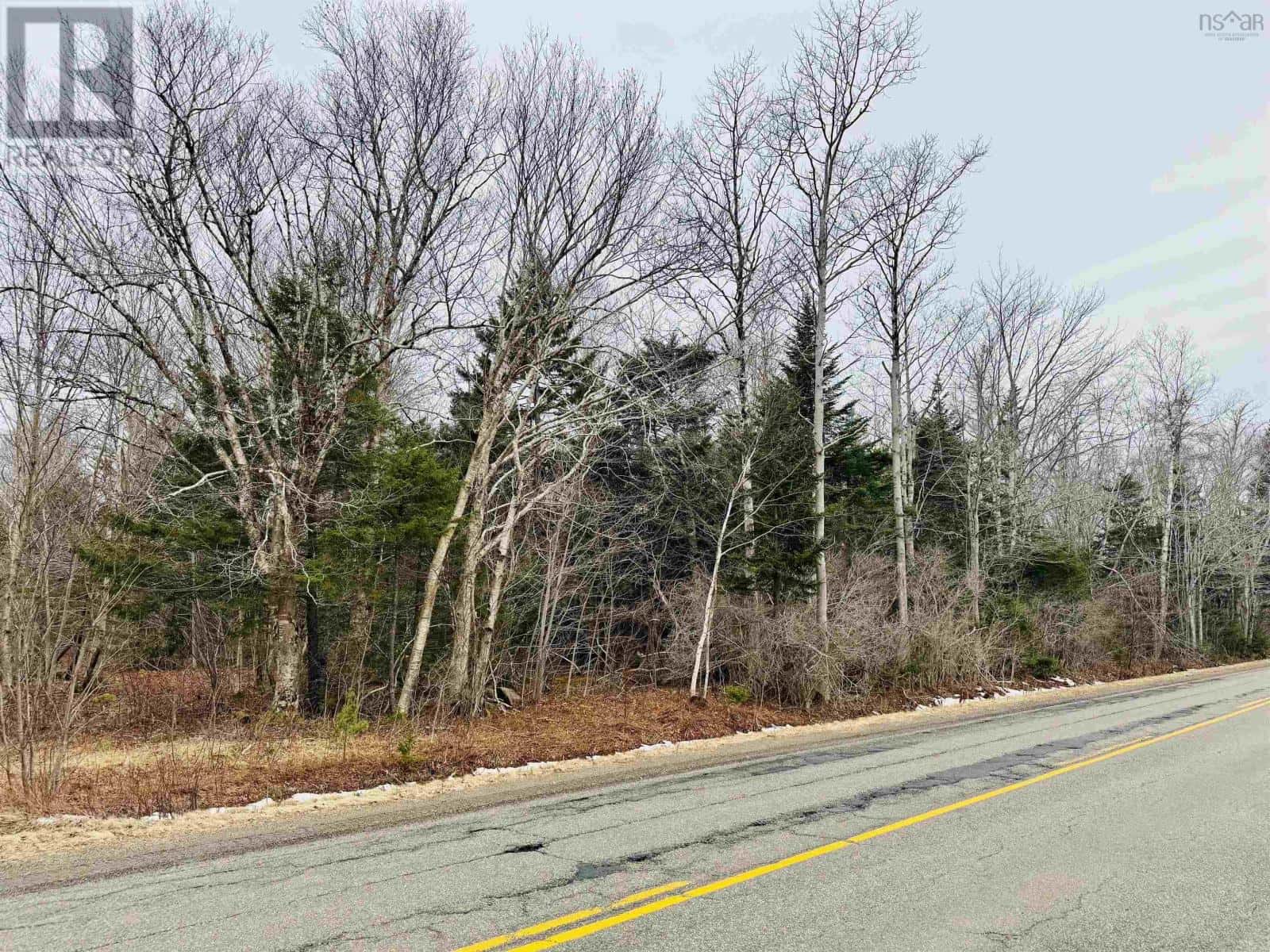 Townshipline Road — Ohio, Nova Scotia - Photo 4 of 13