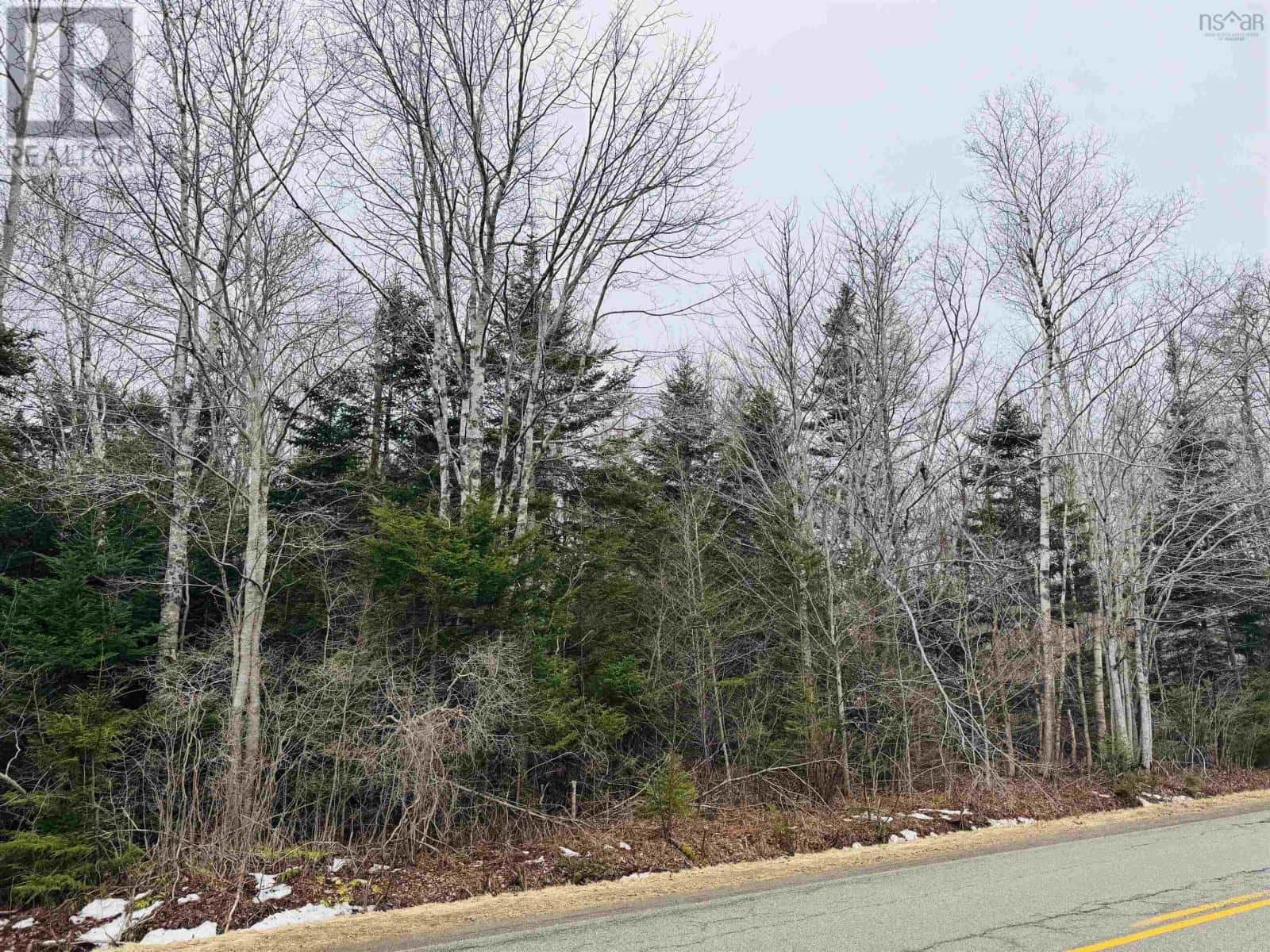 Townshipline Road — Ohio, Nova Scotia - Photo 5 of 13