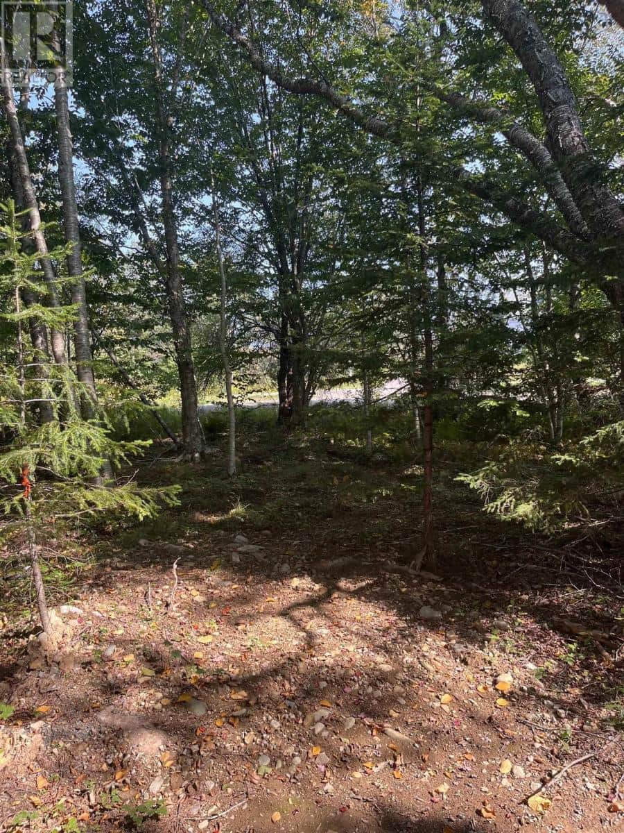 Lot 340 Highway - Photo 4 of 22, Hassett, Nova Scotia