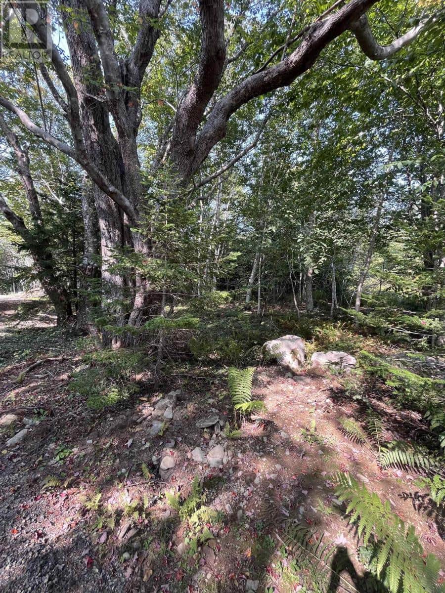 Lot 340 Highway - Photo 2 of 22, Hassett, Nova Scotia