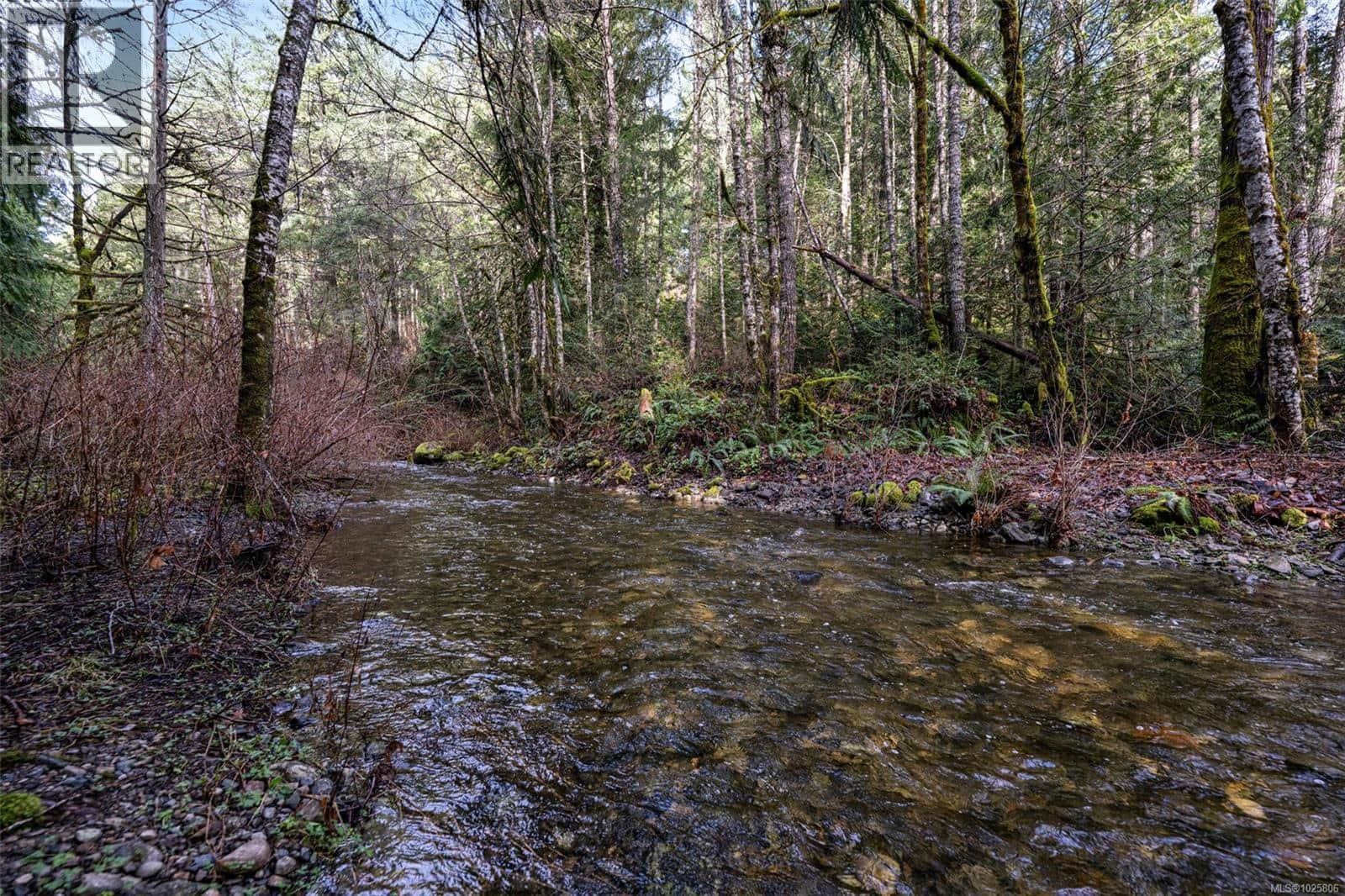 Lot 3 Whittaker Rd - Photo 4 of 53, Malahat, British Columbia
