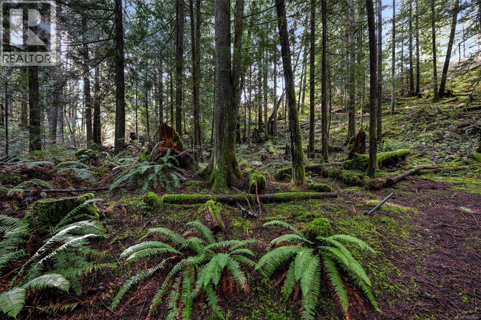 Lot 3 Whittaker Rd - Photo 5 of 53, Malahat, British Columbia