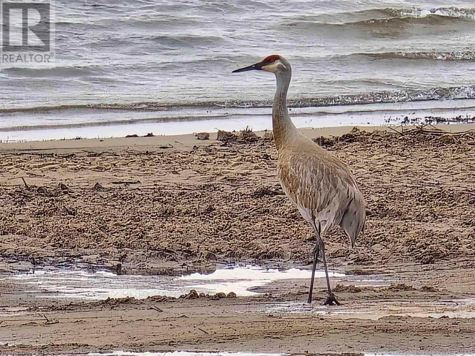 1141 Adcock DR - Photo 5 of 11, Jocelyn, Ontario