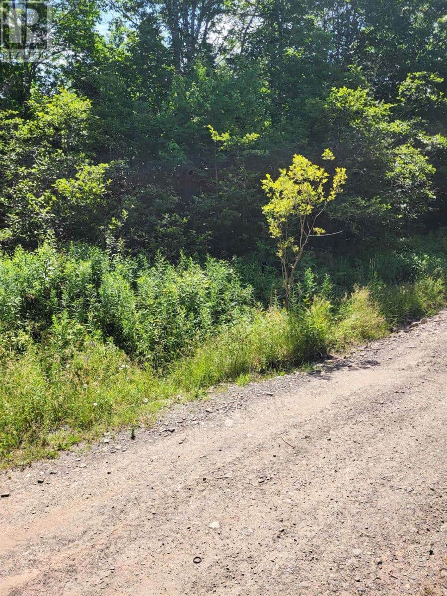 Highway 215 Urbania - Photo 2 of 7, Urbania, Nova Scotia